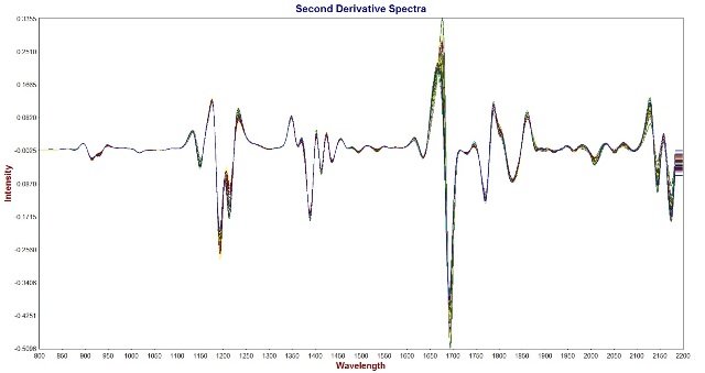 Second Derivative Spectra of jet fuel samples acquired with the Metrohm NIRS XDS Process Analyzer equipped with a stainless steel immersion probe.