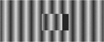Fringe image distortion