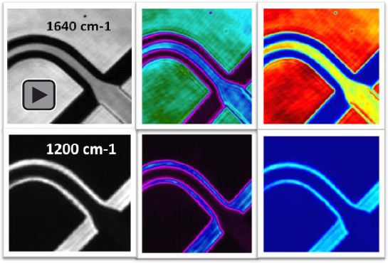 Discrete frequency images of H2O and D2O flows within a microfluidic channel at characteristic absorbances. Video recorded at 1640 cm-1 displays the transmission image where H2O is black and D2O is white.