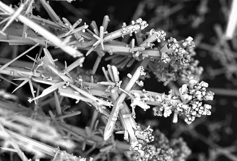 An SEM image of perovskite LaSrZnFeO6