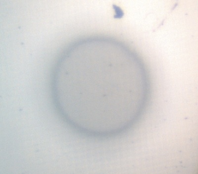 Optical image of the circular etch crater obtained by azimuthal rotation during depth profile sample analysis.