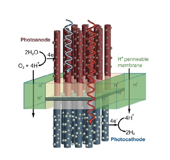 Artificial Photosynthetic Systems