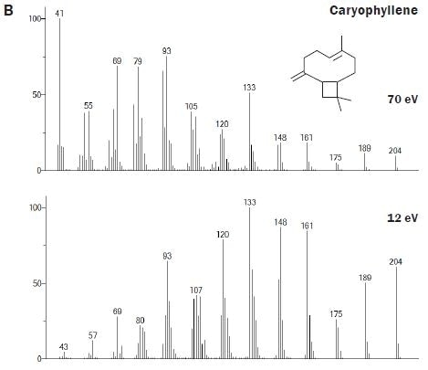 Spectral comparisons at 70 and 12 eV for a selection of the mono- and sesquiterpenoids that are important for contributing the characteristic aroma of hops to beer.