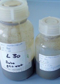 Various samples from the digester are ready for analysis