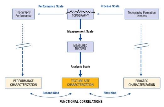 The importance of scales in determining functional correlations of the first and second kinds.