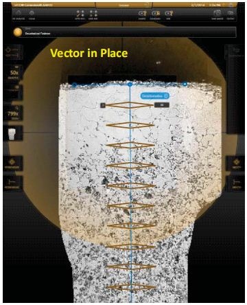 A vector in place
