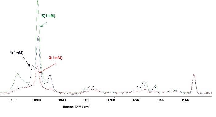 A shows the resonance Raman spectra (in 0.1M NaHCO3 buffer,