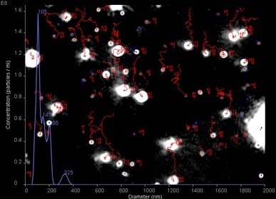 Tracking of particles by NTA software to derive the particle size distribution.
