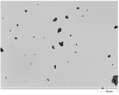 50x magnification image of dispersion of cement.