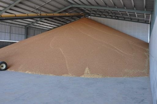In a center-fill vessel flowing material generally piles symmetrically