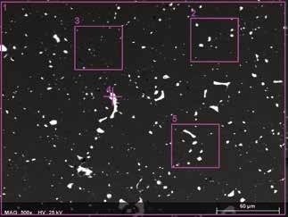 SEM image (BSE) of the polished ERM® -EB375 specimen. The pink squares and the crosshair display the areas analyzed with EDS.