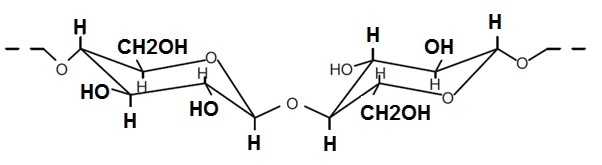 Molecular structure of cellulose