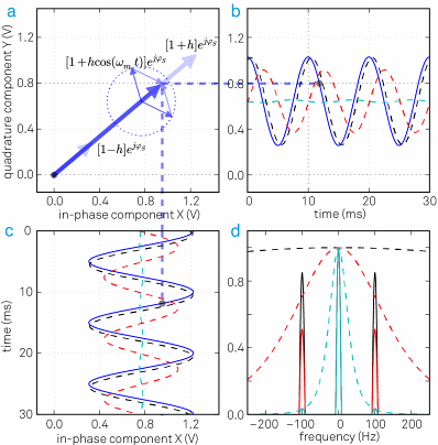 (a) An amplitude modulated signal in the rotating frame of reference is a vector with a time dependent length. The instantaneous signal is represented by the thick blue arrow; the thinner arrows display the two sidebands of the AM signal. (b) and (c) the quadrature and in-phase components of the demodulated input signal: the blue trace is the unfiltered signal, the dashed black, red and cyan traces are the filtered signals with f-3dB = 500 Hz, 100 Hz and 20 Hz, respectively. (d) The frequency spectrum of the demodulated signal after filtering with three different bandwidths (black, red and cyan curves).
