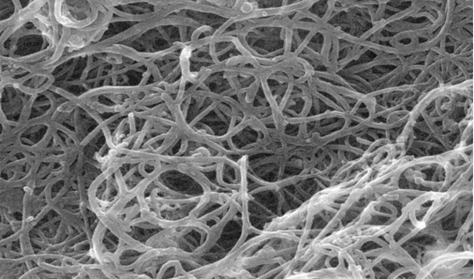 SWCNTs form a 3D network that increases the strength of materials that they are added to.