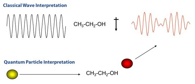 Comparison of Raman scattering interpretations