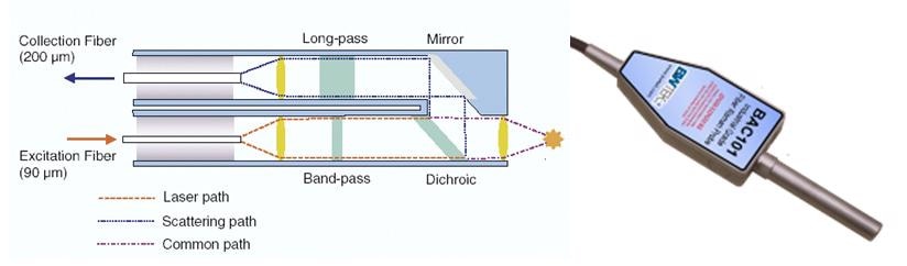 Typical Design of a Raman Probe