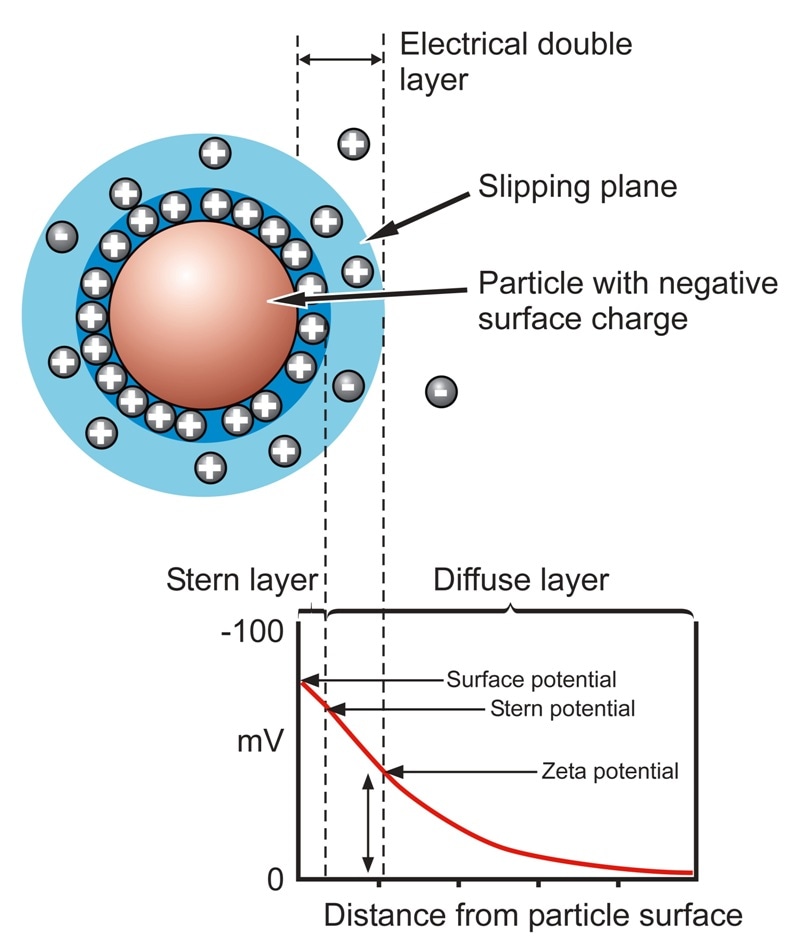 determination of isoelectric point