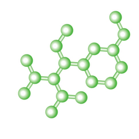 Highlights in the Field of Natural Polymers