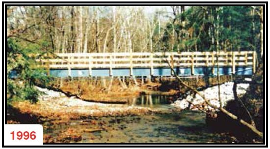 Hybrid Fiber Reinforced Composite Pedestrian Bridge