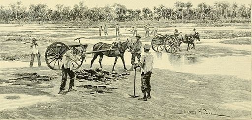 Asphalt Lake, Trinidad. 19th Cent.