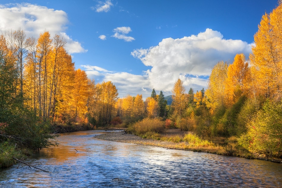 Environmental Research, Spectroscopy, Continuous Emission Monitoring Systems, CEMS