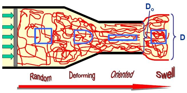 The Source of Extrudate Swell
