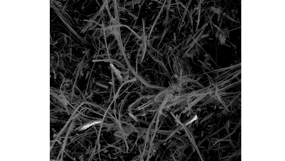 Scanning Electron Microscopy image of bundles of SbPS4 nanotubes. Typical diameter of each bundle is approximately 20 microns.