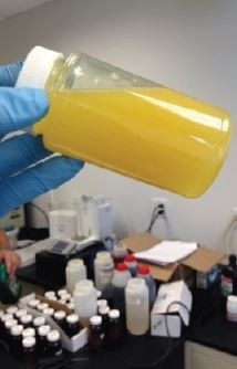 Sample which was shaken vigorously by hand for 30 seconds. To the eye, the opacity looks similar to the homogenized samples even though the water is not uniformly dispersed in the sample.