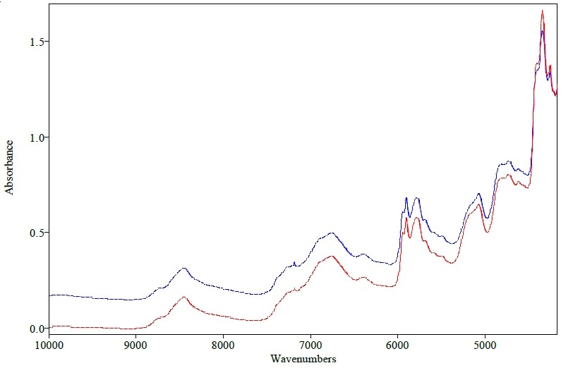 Original spectra of erythromycin tablet measured with QuasIR™ 2000 (red) and Matrix-F (blue)