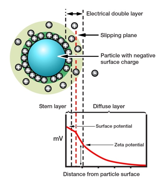 Investigating the Impact of Particle Characteristics on Suspension Rheology