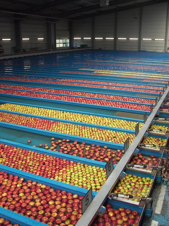 Spectroscopy, Grade Fruit, Sort Fruit