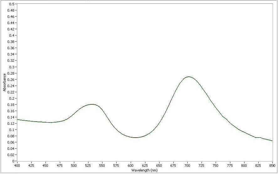 Gold nanorods of aspect ratio 3 at full concentration.