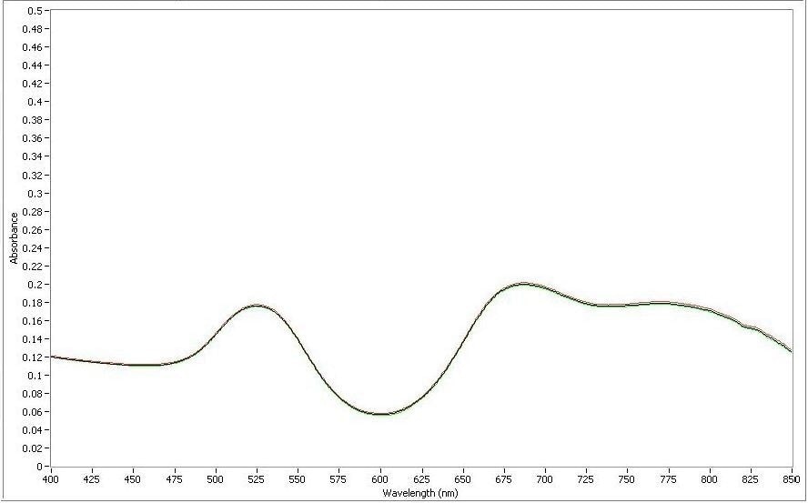 Mixture of gold nanorods of two aspect ratios.