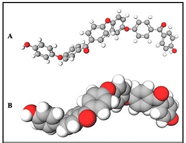 PEEK 2n polymer showing bent and twisted conformation. A) Ball-and-stick model; B) van der Waals spheres model. White = hydrogen; gray = carbon; red = oxygen. (shown with terminal hydroxyls).