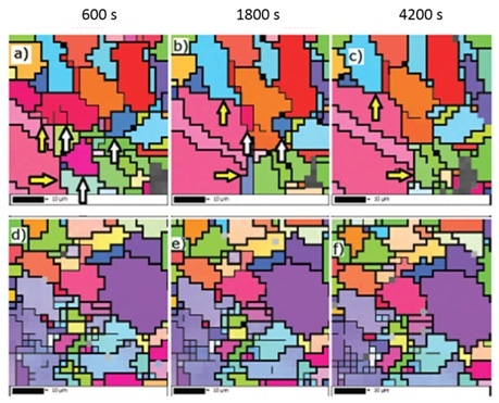Maps a – c show the steel sample without Mo, maps d – f show steel with added Mo. White arrows in maps show grains that were at later stages of treatment consumed by a progressing high angle boundaries of large neighboring grain that is growing selectively (yellow arrow). No such events were observed in the sample that included Mo.