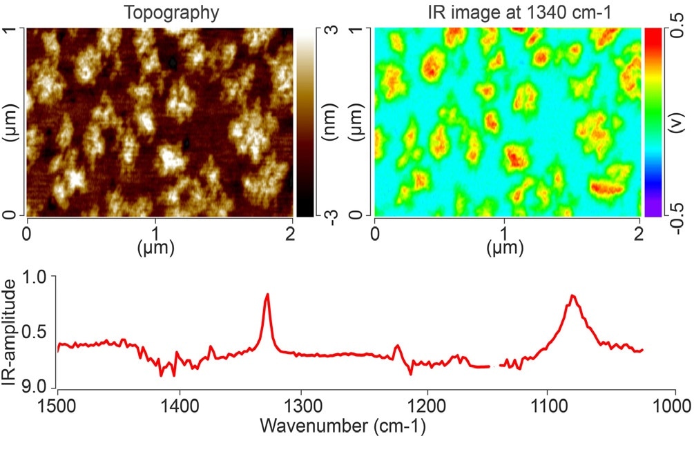 AFM topography image (top left), and IR absorption image at 1340 cm-1 (top right) of a monolayer island film of PEG on gold. An AFM-IR spectrum of one of the PEG islands is shown below.