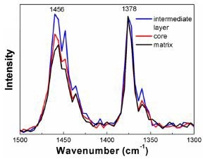 AFM-IR spectra acquired from each region within the HIPP. Data has been normalized to 1378 cm-1.