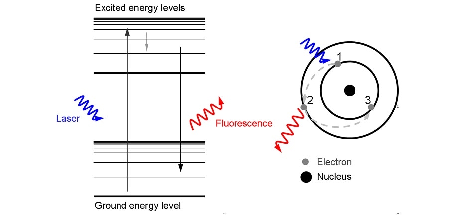 An energy level diagram demonstrating the electronic mechanism of fluorescence.