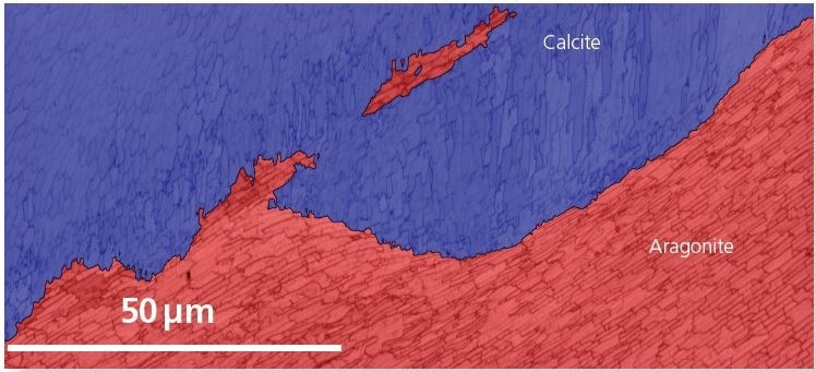 Area 1 phase map: calcite - blue, aragonite - red.