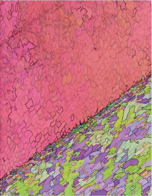 IPF orientation map, showing high angle boundaries in black and low angle boundaries in grey. In aragonite, special boundaries are marked in red (63.8° <001/>) and yellow (52.4° <001>).