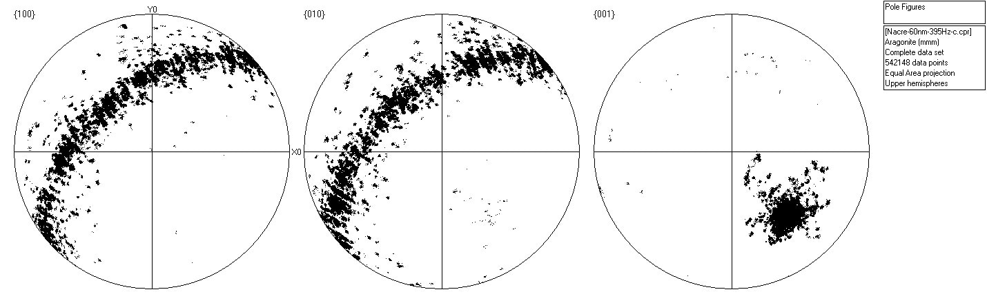 Scattered pole figure showing poles to {100}, {010} and {001} in the aragonite in Area 2.