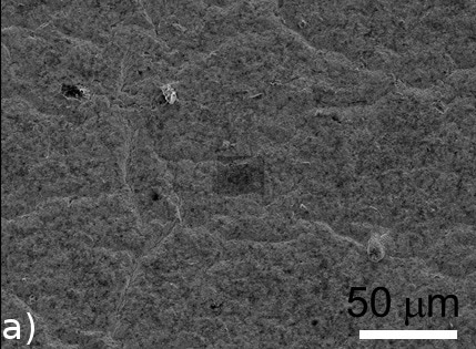 The morphology of the DLC coated ACM rubber on top surface (a) and on cross-section (b). The scale bars represent 50 µm and 5 µm respectively.
