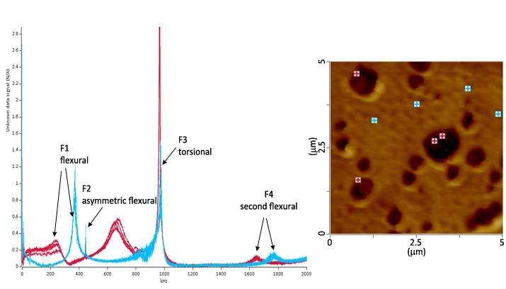 LCR spectra (a) and AFM height image (b) showing spectra of individual points on the PP matrix in blue and elastomer domains in red.