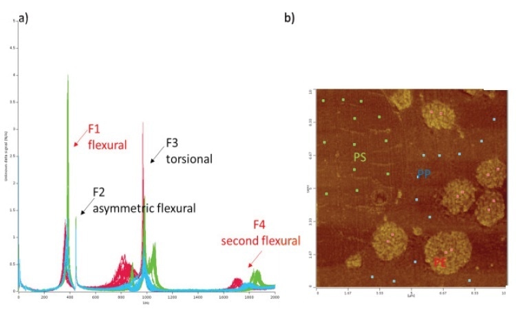 LCR spectra (a) and AFM height image (b) showing spectra of individual points on the PP matrix in blue, PE in red and PS in green.