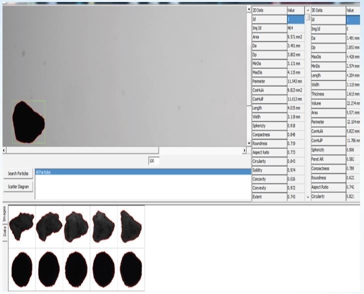 Particle images. Each row contains different orientations of one particle, which allows the 3D calculations.