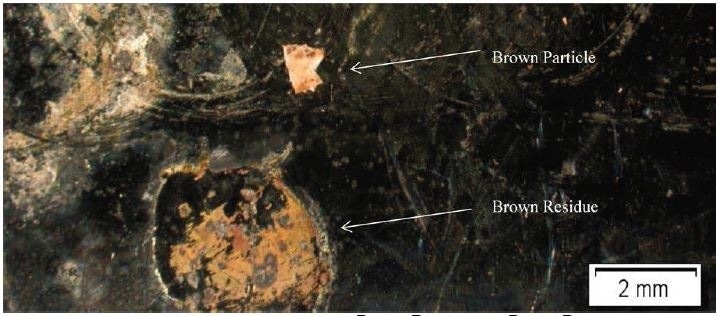 Optical Micrograph of Brown Particle and Brown Residue.