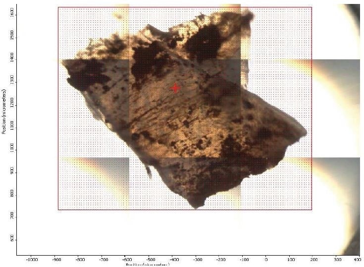 FTIR micrograph of mapped area.