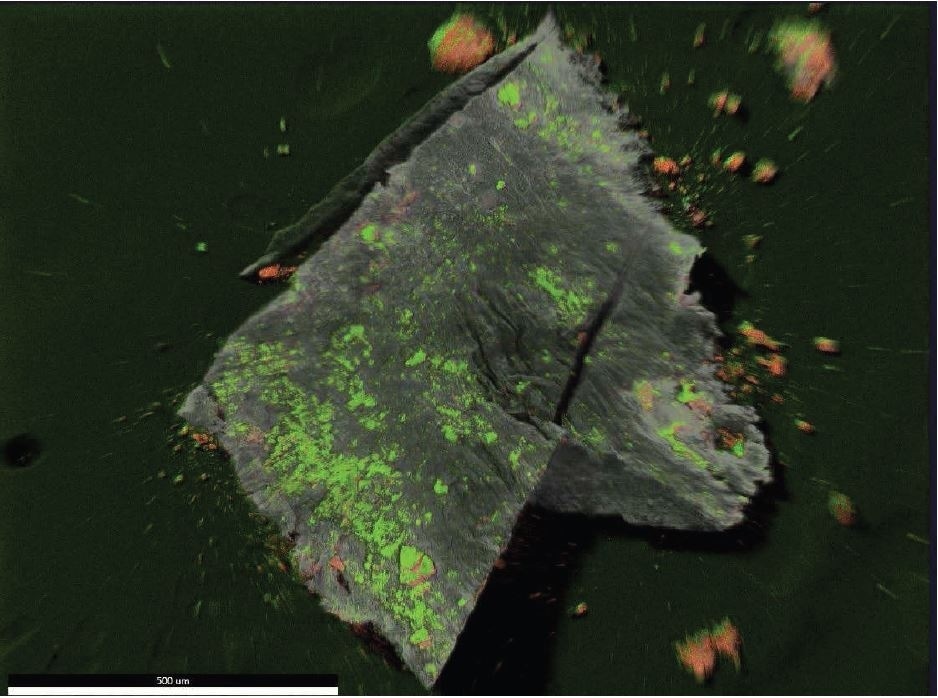 EDX map overlay of Oxygen (green) and Iron (reddish-orange).