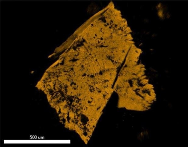 EDX map of Fluorine.
