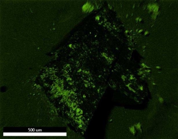 EDX map of Oxygen.